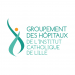 GHIC-Lille_logo-75x75